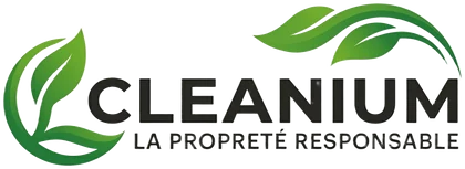 Logo Cleanium